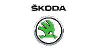 skoda Werkstatt